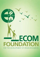 ECOM Foundation
